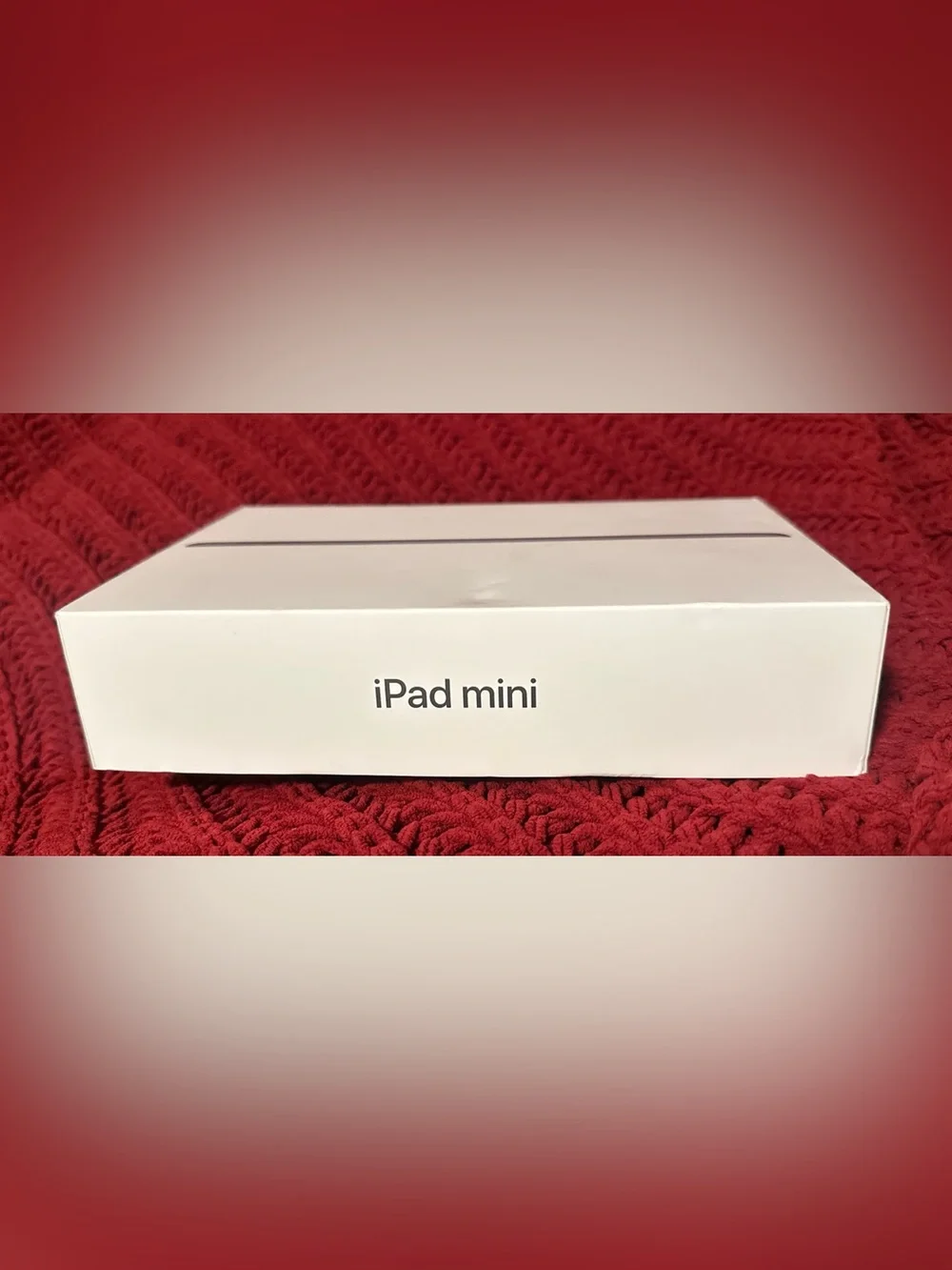 Apple ipad mini